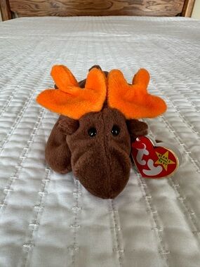 Chocolate the Moose Beanie Baby 4015